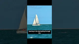 Sailing with outboards #catamaran #sailing #outboards #sailing #cruisinglife