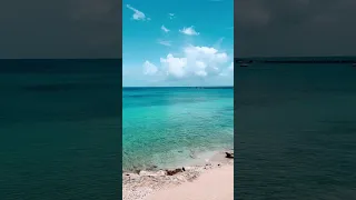 #shorts #short #shortvideo #shortsvideo #travel #beach #paradise