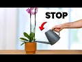 Download Lagu I Stopped Killing Orchids Once I Knew This