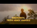 Wellness Wednesday A Guided Mindfulness Meditation