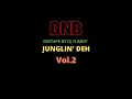 Download Lagu Junglin' Deh Mixtape  #drumandbass #jungle #ragga