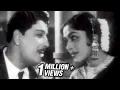 Download Lagu Sirithalum Pothume - MGR, Saroja Devi - Neethikku Pin Paasam Tamil Song