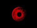Download Lagu Jerry Cantrell - Held Your Tongue (Official Visualizer)