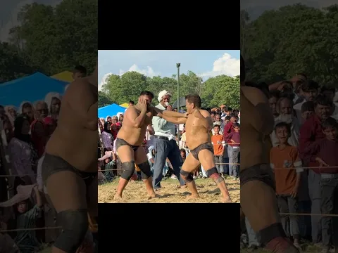 बसंत थापा की दर्दनाक फाइट | basant thapa ki kushti #thapakikushti #shorts #shortvideo #kushtidangal
