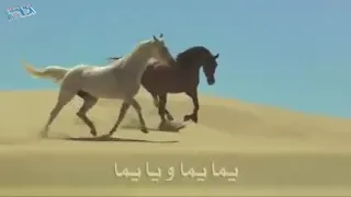 شيخ العشيرة عمي ياربي شو مجنني دندنها