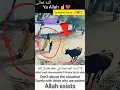 Download Lagu Ya Allah ☝️ Greatest Save. ✊❤️😱 #shorts #islamic #reels #viralvideo #foryou #quran