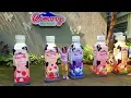 Download Lagu Naila Berlibur ke cimory bogor | lihat anak ikan hiu, bintang laut dan Kasih makan Hewan SERU