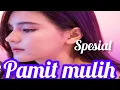 Download Lagu PAMITAN (PAMIT MULIH) dangdut campursari koplo pilihan