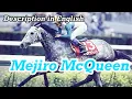 Strongest Stayer - Mejiro McQueen（メジロマックイーン）
