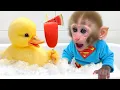 Download Lagu Mono Bon Bon y su Divertida compra de juguetes - Animal HT ESP
