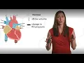 Right Ventricular Dysfunction and Pulmonary Hypertension