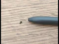 How to fix your broken S-Pen tip S-Pen Spitze abgebrochen