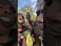 Download Lagu #hadzabetribe#dudukwe#chaaba#wildlife#yummyfood#foryou#trendingvideo#village
