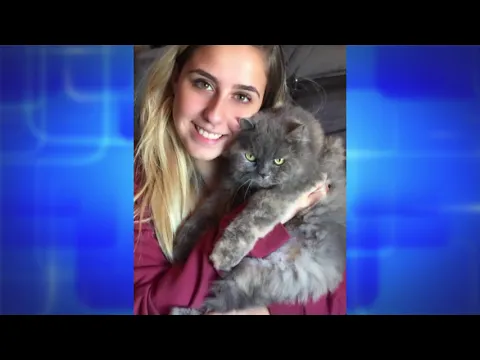 Conexão ND recebe a psicóloga Cristine Cabral