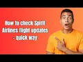 How to check Spirit Airlines flight updates - quick way