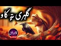 Kashir Daleel Crow and Squirrel Kashmiri Folk Story with Illustrations