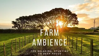 Farm Ambience Nature Farm Sounds For Relaxing And Deep Focus 