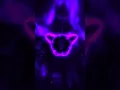 Download Lagu ALORS BRAZIL (ULTRA SLOWED)#shorts#phonk#phonkgee#audioeffect#brazil#slowedreverb#bassboosted