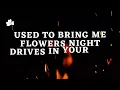 Fire Alarm - Soffie Dossi (lyrics)
