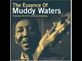 Muddy Waters - You're Gonna Miss Me (When I'm Dead and Gone)