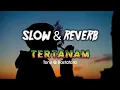 Download Lagu TERTANAM (Slowed \u0026 Reverb) Sisa lamunanku...!!! #slowedandreverb #reggae #BANGMU