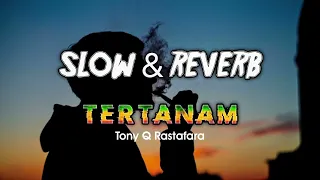 tertanam slowed u0026 reverb sisa lamunanku slowedandreverb reggae bangmu