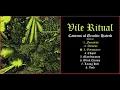 Download Lagu Vile Ritual - Caverns of Occultic Hatred (2024) [Full Album]