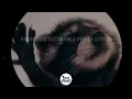 la canción de pedro | Jaxomy, Agatino Romero, Raffaella Carrà - PEDRO (Lyrics)
