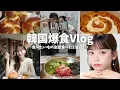 Download Lagu 【韓国Vlog】食べたいもの全部食べた2泊３日🇰🇷