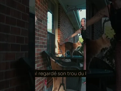 Oui... je lui regarde le trou de balle! y a quoi?