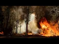 Download Lagu The Seed - AURORA (slowed + reverb) READ DESCRIPTION
