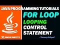 Java For Loop Control Statement with Program Example Java Programming Tutorials for Beginners
