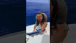 Day 5 sailing to New Zealand