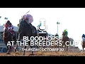 How Sovereignty s Classic Scratch Impacts Horse of the Year BloodHorse at the Breeders Cup E001