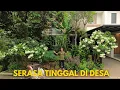 Download Lagu Rumah dengan Kebun dan Kandang Ayam