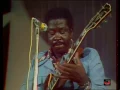 1975   Baby Please - Mighty Joe Young (Live video)