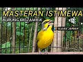 Download Lagu MOZAMBIK GACOR SUARA ISTIMEWA UNTUK MASTERAN