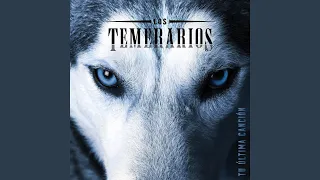 ahora pienso m s en ti