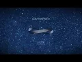 Gustavo Cerati - Cactus (Lyric Video)