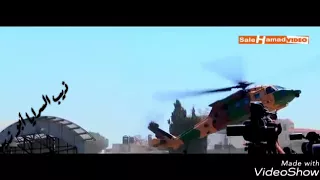 هيبة الملك عبدالله الثاني والحرس الخاص دندنها