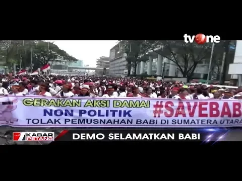 Ribuan Massa Gerakan #SaveBabi Berunjuk Rasa Tolak Rencana Pemusnahan Ternak Babi di Sumut | tvOne