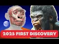 Download Lagu Shocking First 2025 Homo Erectus Discovery