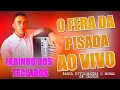 Download Lagu Fabinho Dos Teclados O Fera Da Pisada  - Ao Vivo