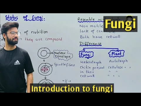 Download MP3 Introduction to fungi | Taxonomic status of fungi | Class 11 Biology