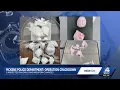 Pickens police conclude Operation CRACKdown with 6 arrests on drug and weapon charges