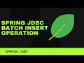 Spring JDBC DAO Batch Insert Part-3