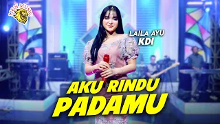 laila ayu kdi aku rindu padamu official live lion music 