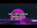 Download Lagu MIE AYAM SPESIAL - YAYANG MIX - NWEE2023🔥