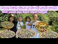 Download Lagu PANEN BUAH PLUMS MADU ASLI MANIS PUOLLL || ALHAMDULILLAH DAPAT BANYAK BISA UNTUK PARTY 
