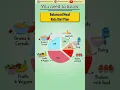 Balanced Meal Plan for Kids Healthy Diet Chart Explained